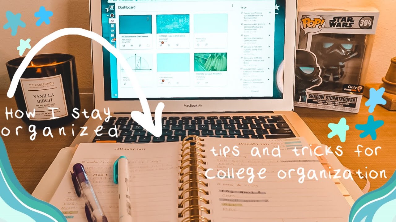 plan with me for the new semester! | University of Florida