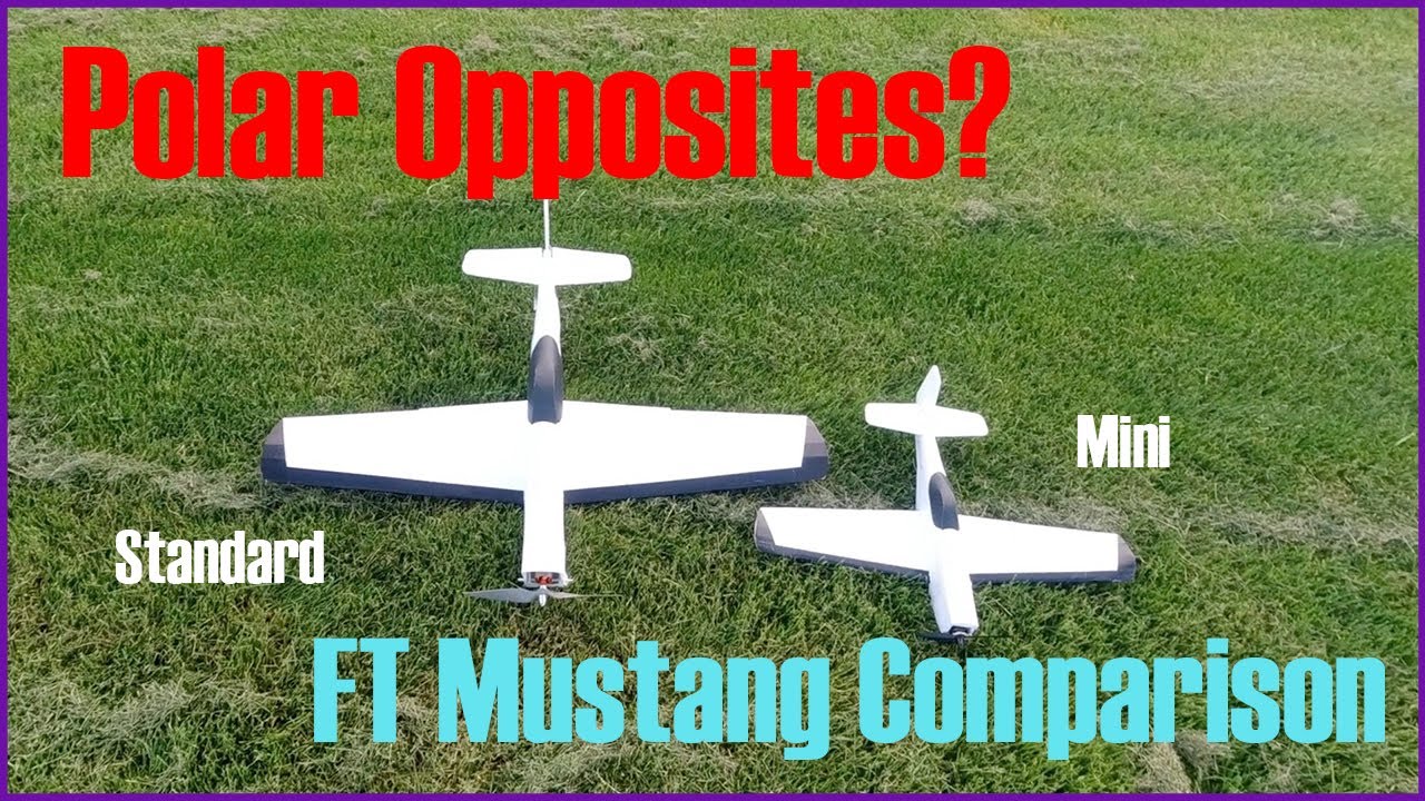 Same Plane... Polar Opposites? | FT Mustang vs FT Mini Mustang (Flight Comparison)