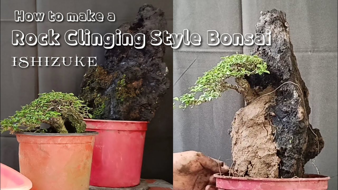 How to make a Rock Clinging Style  