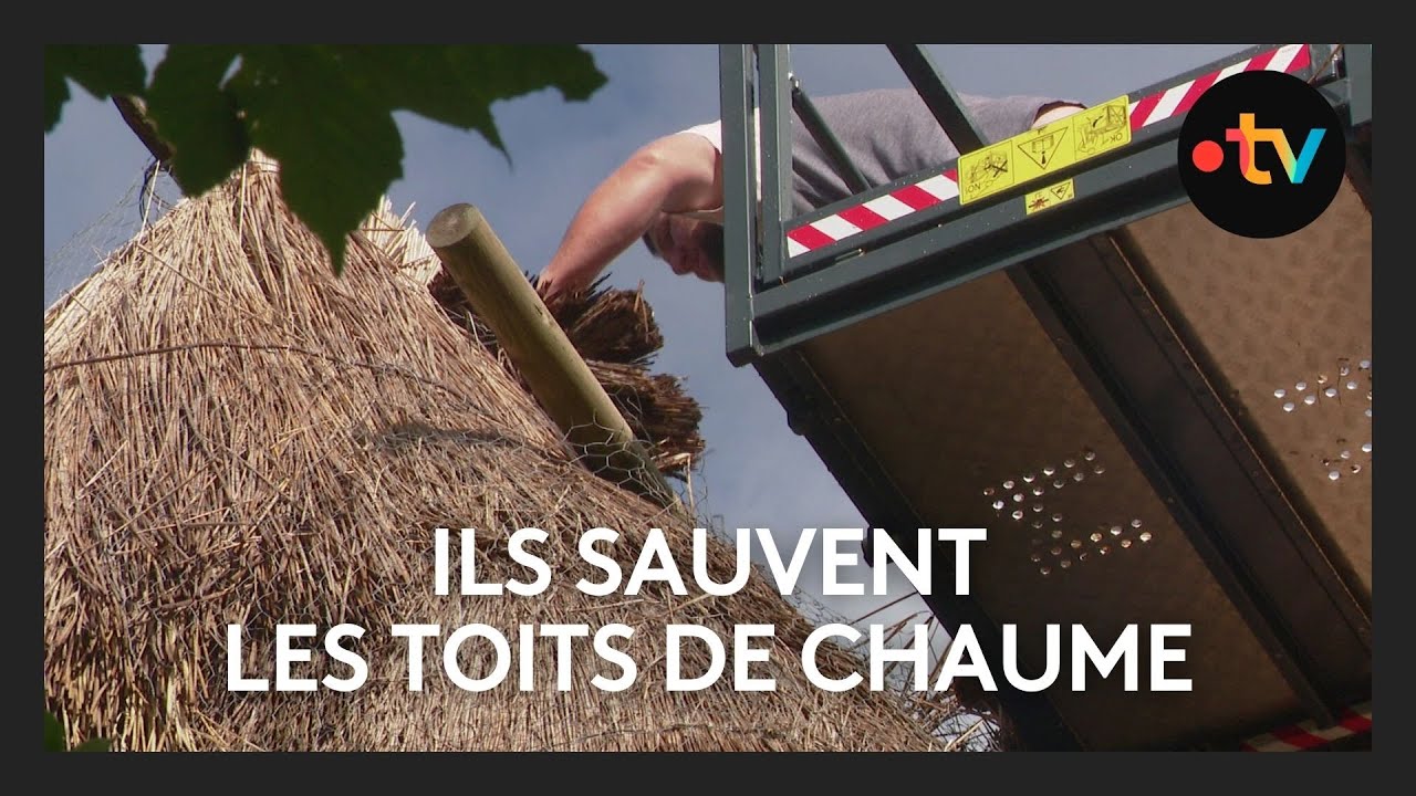 Ils sauvent les toits de chaume en Haute-Loire : un savoir-faire en p&eacute;ril