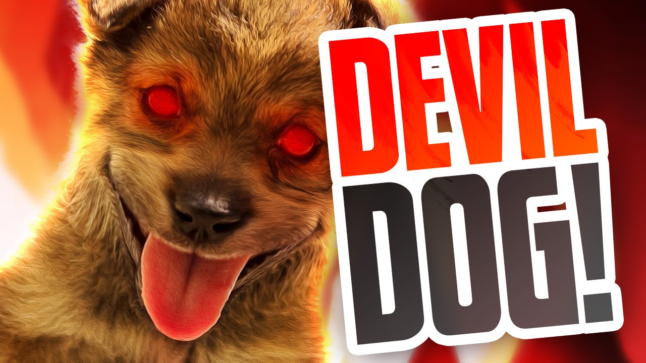 Reigns Playthrough - DEVIL DOG TO THE RESCUE? - Reigns Gameplay