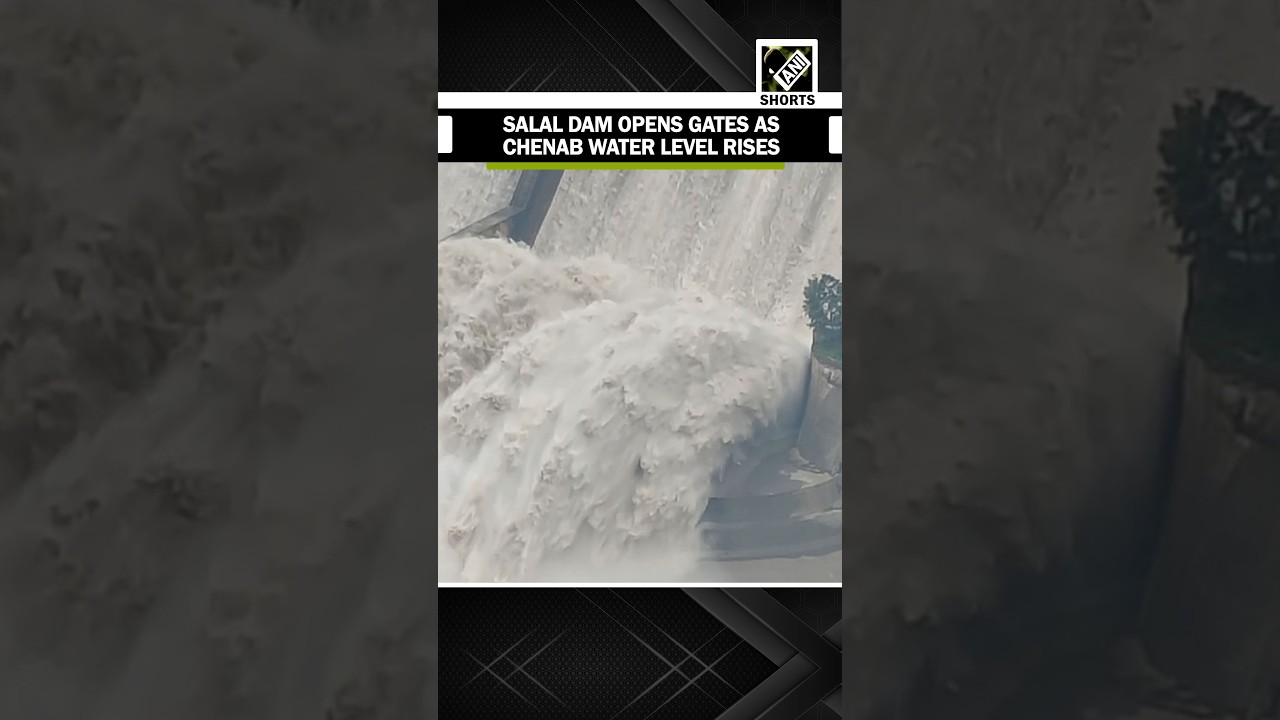 Salal Dam opens multiple gates as rising inflow increases discharge into Chenab River