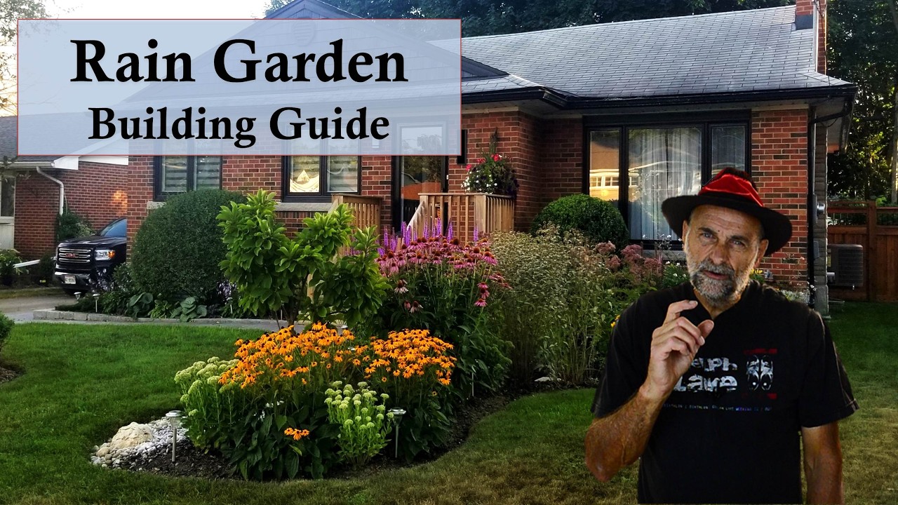Build a Rain Garden ☔️🌊❄️ Step by Step Instructions that Makes it Easy