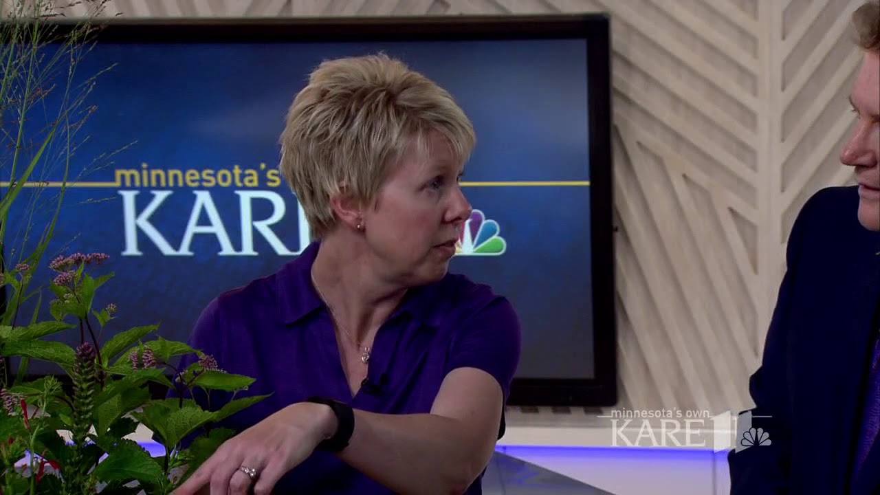 Landscaping with native Minnesota plants