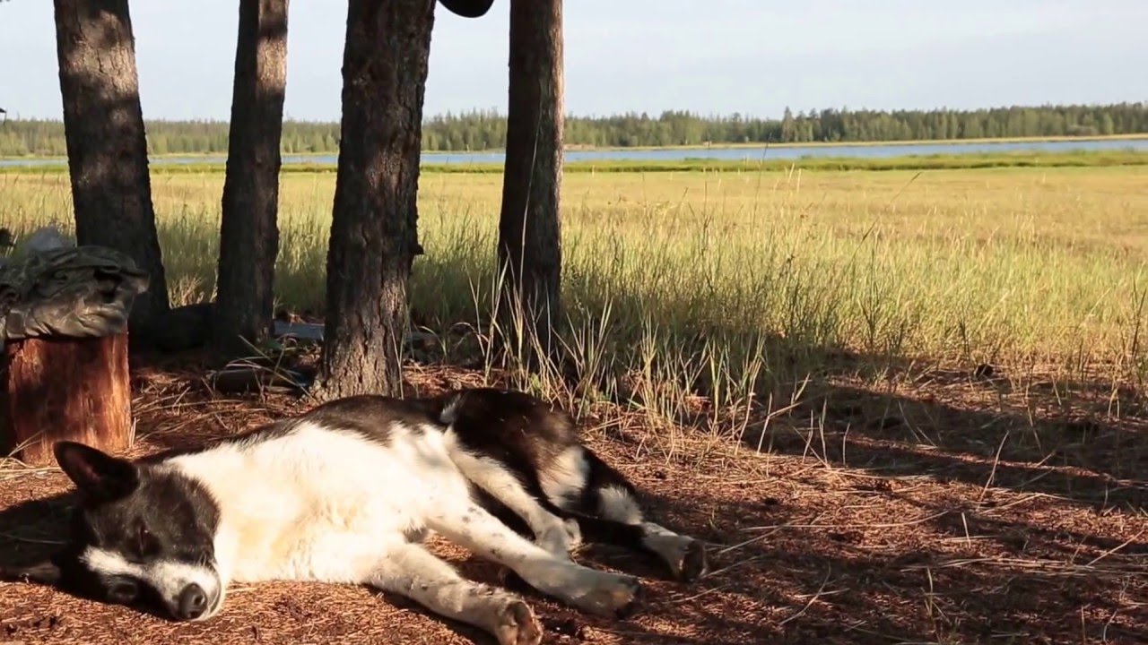 Yakutia /Allaga (English Subtitles)