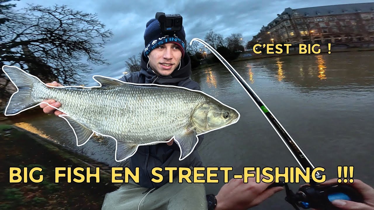DU GROS POISSON EN PLEIN STREET ?