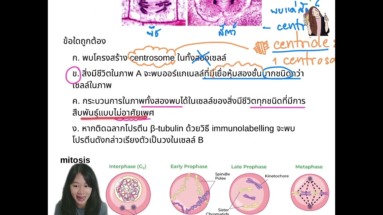 สอวน