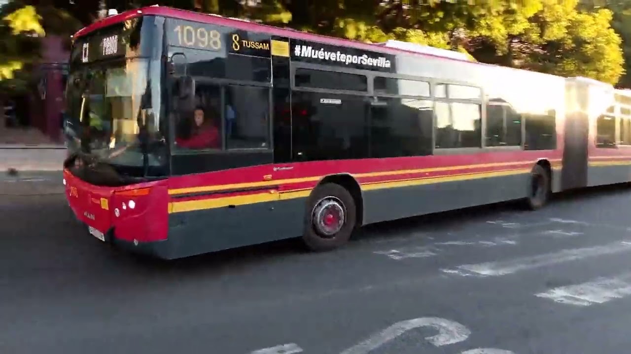 Autobuses y tranvías en Sevilla