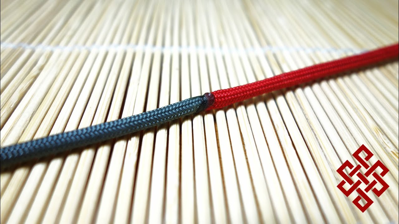 Как присоединиться к обучающему курсу Paracord