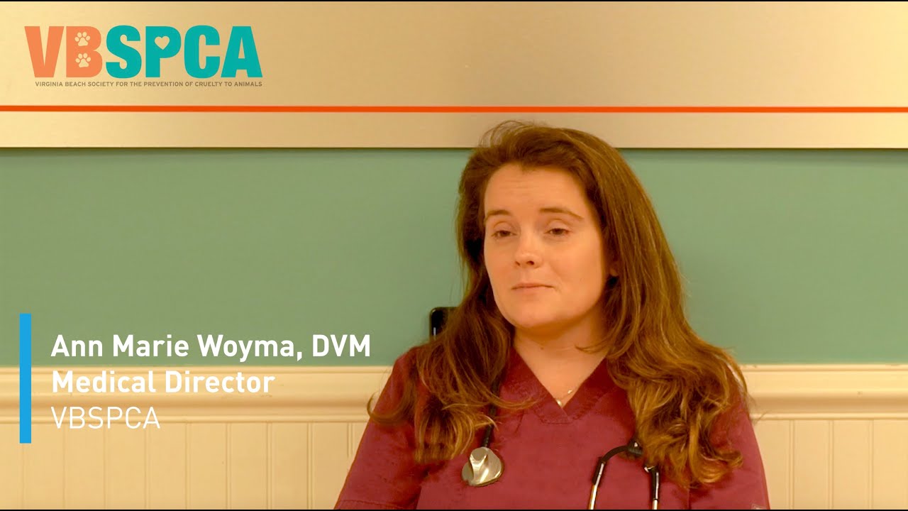 Dr. Woyma, VBSPCA Medical Director talks about her experience using VETIGEL&reg;