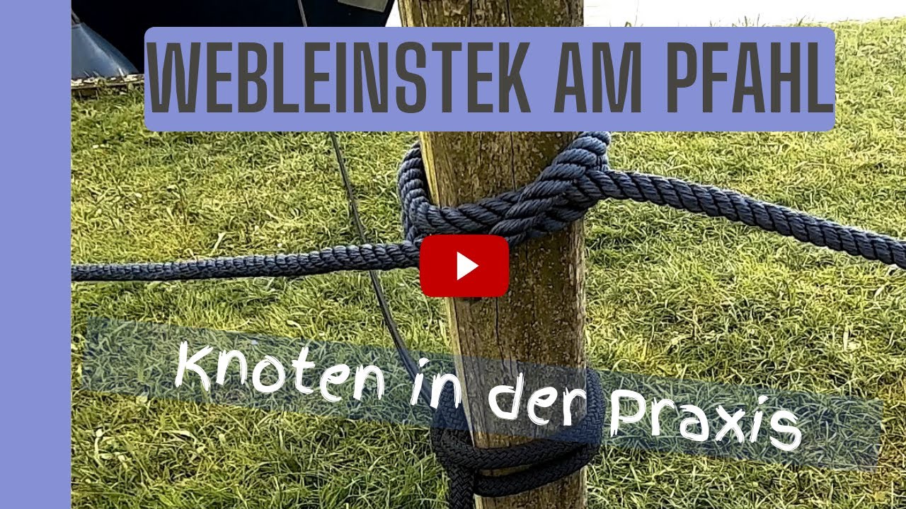 Webleinstek in der Praxis - Belegen am Pfahl