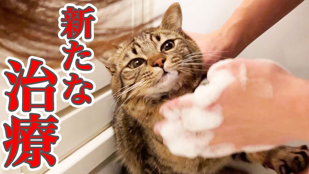 アゴの病気完治に向けて、新しい治療を開始しました… #6