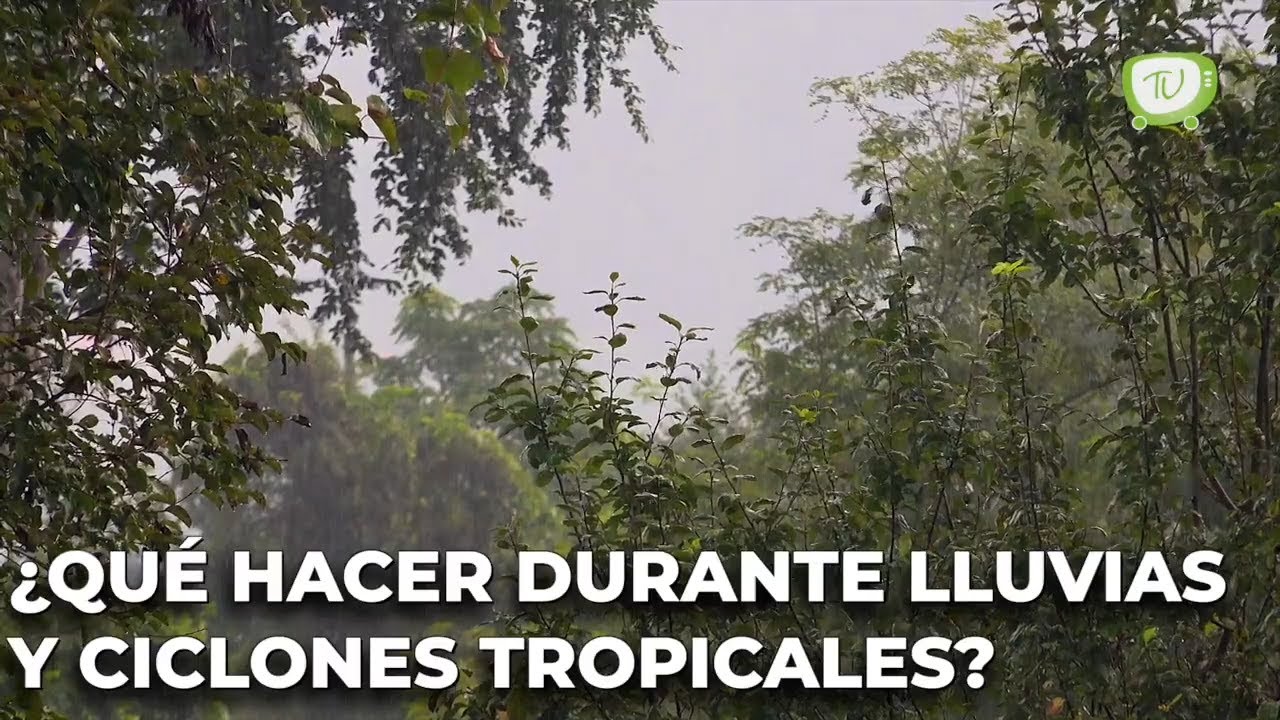 Qu&eacute; hacer ante lluvias y ciclones tropicales