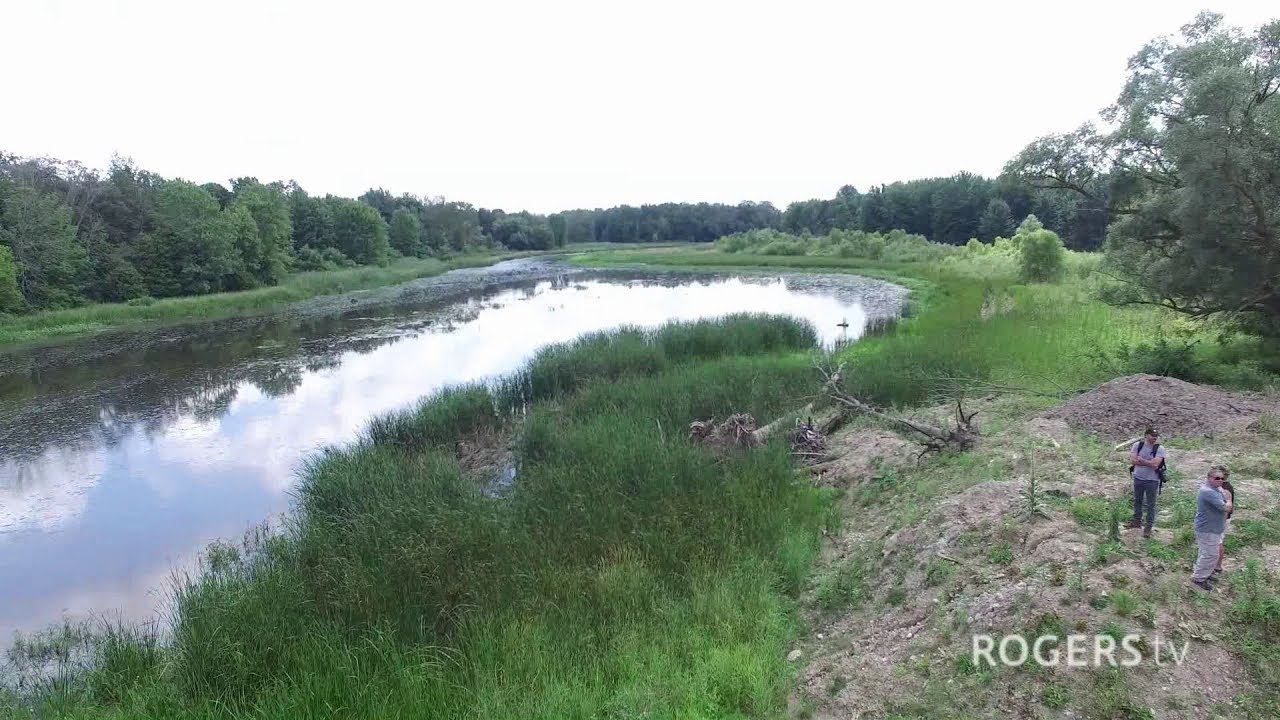 Hodges Pond Reconstruction