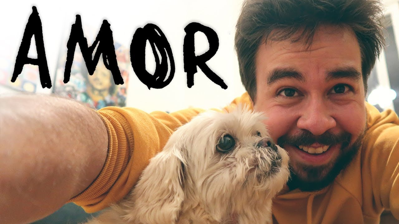 Ter Uma Cachorrinha (Ou Só o Amor Faz o Mundo Andar)