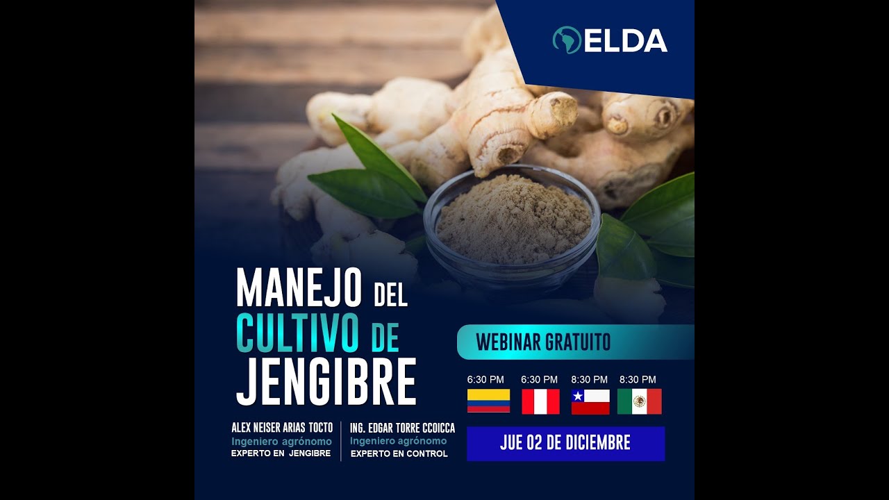 WEBINAR ELDA -MANEJO DEL CULTIVO DE JENGIBRE