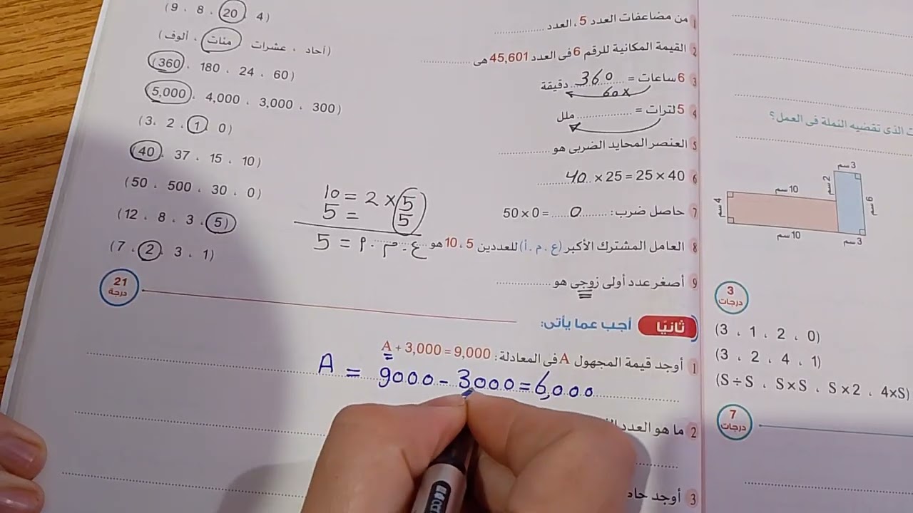 حل محافظه القاهره الصف الرابع الابتدائي الترم الاول 2026 