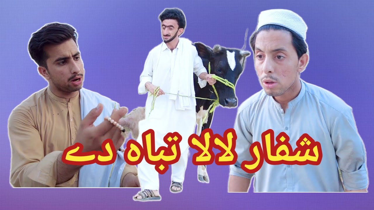 Shaffar lala tbah dy 😜  | Shab Pictures
