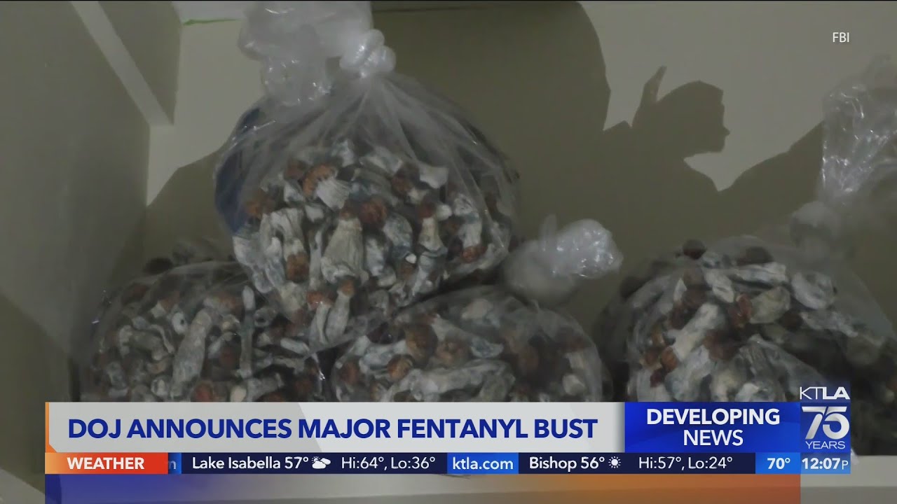 DOJ announces major fentanyl bust