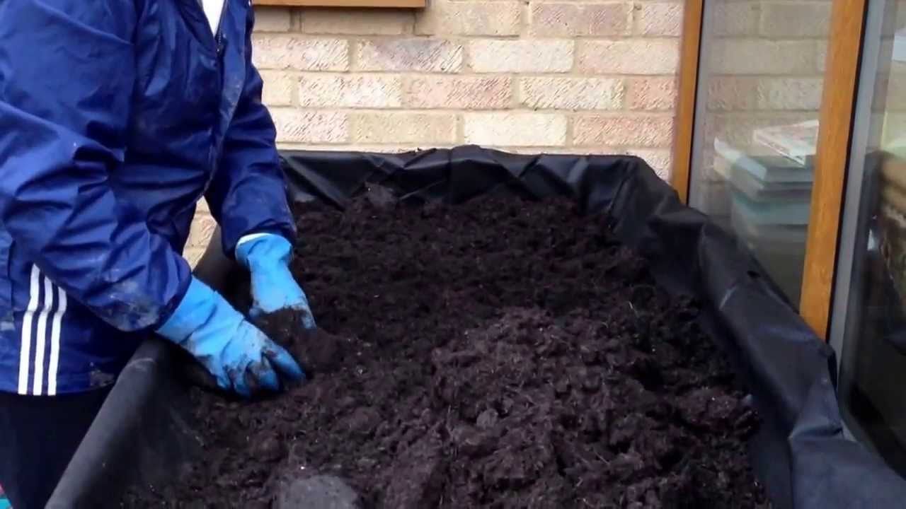 Vegtrug v2