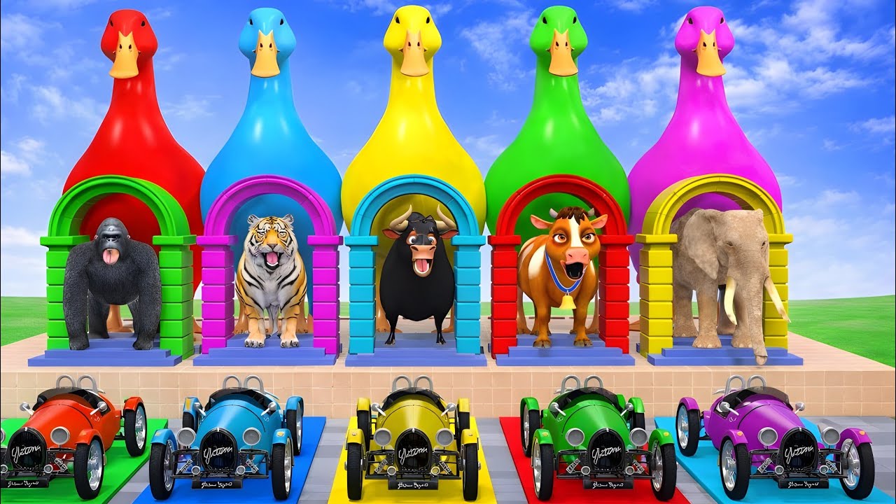 Long Slide Game With Elephant Gorilla Buffalo Hippopotamus Tiger - 3d Animal Game - Gigo Colour 04