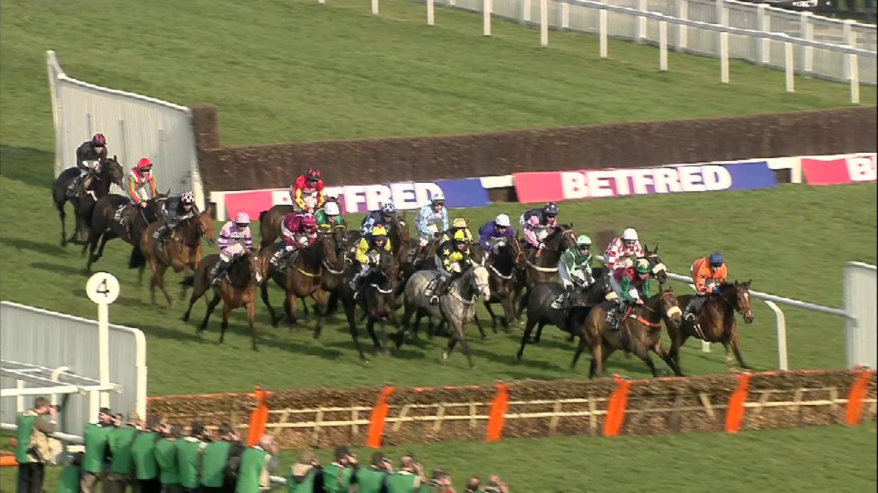 2014 Albert Bartlett Novices' Hurdle - Very Wood - Racing TV