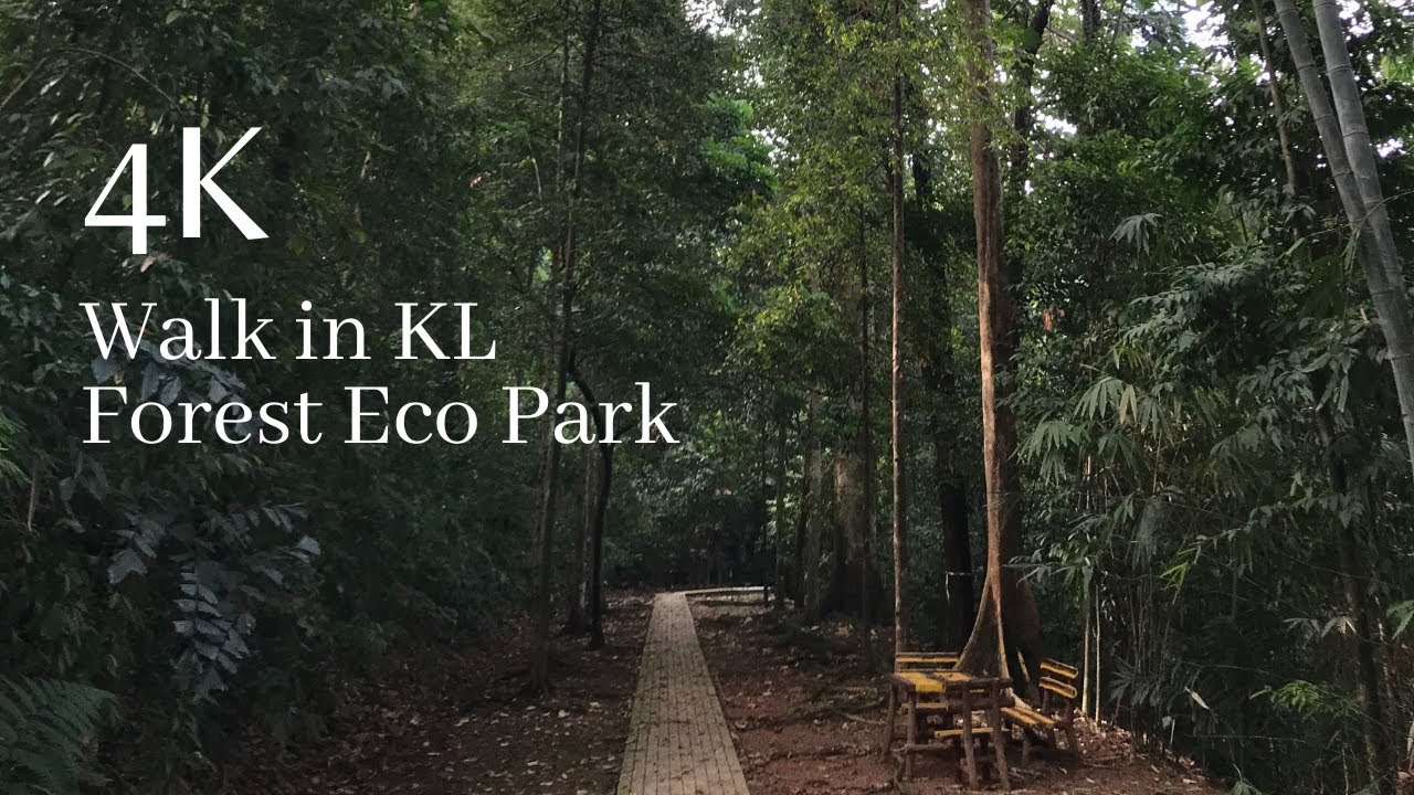 [4K:60p] Walk in KL Forest Eco Park, (Bukit Nanas) Kuala Lumpur, Selangor, KL City, Malaysia