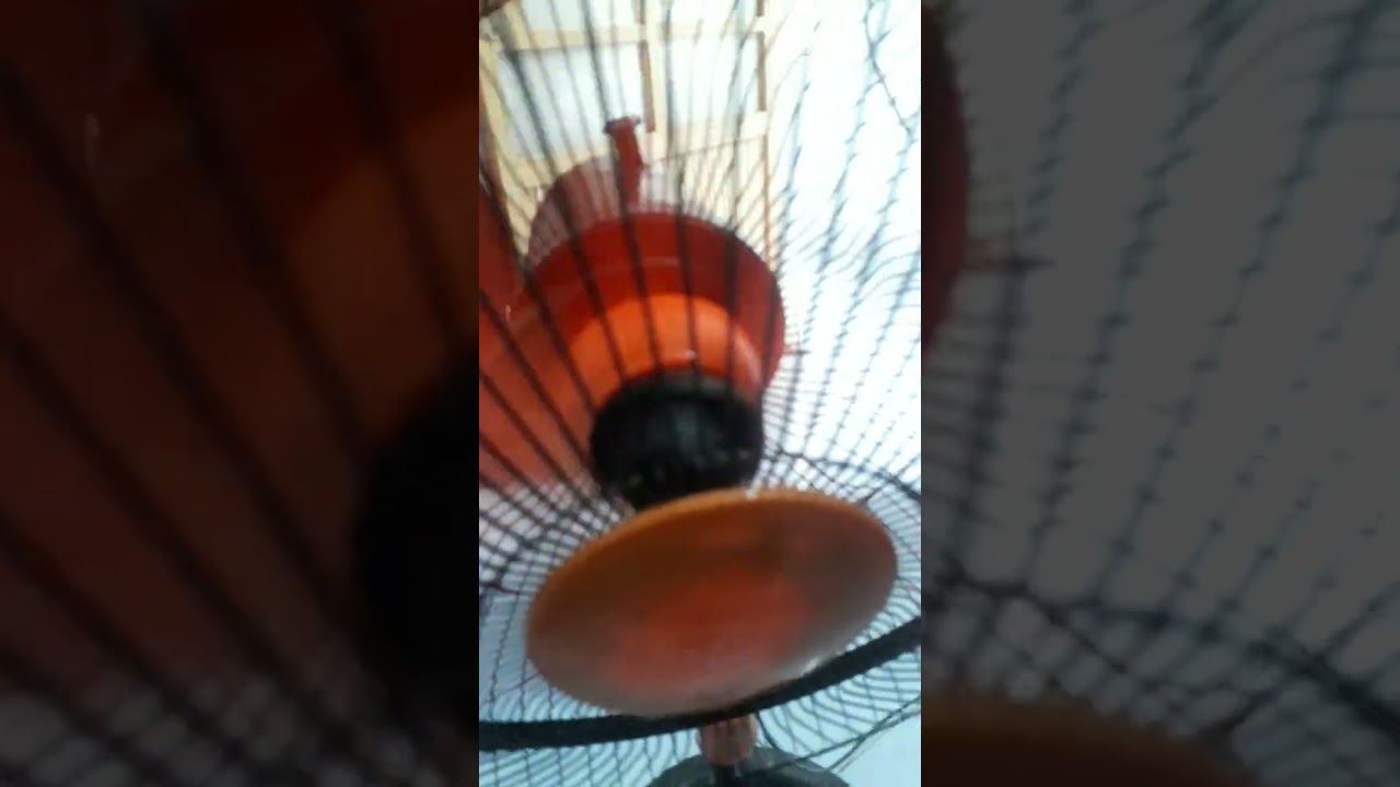 @all fan in my house 