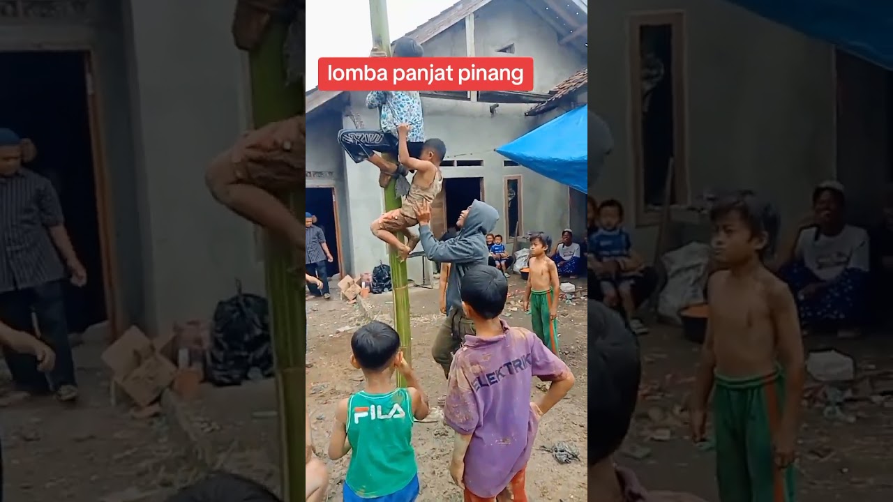 #lombapanjatpinang #panjatpohon 