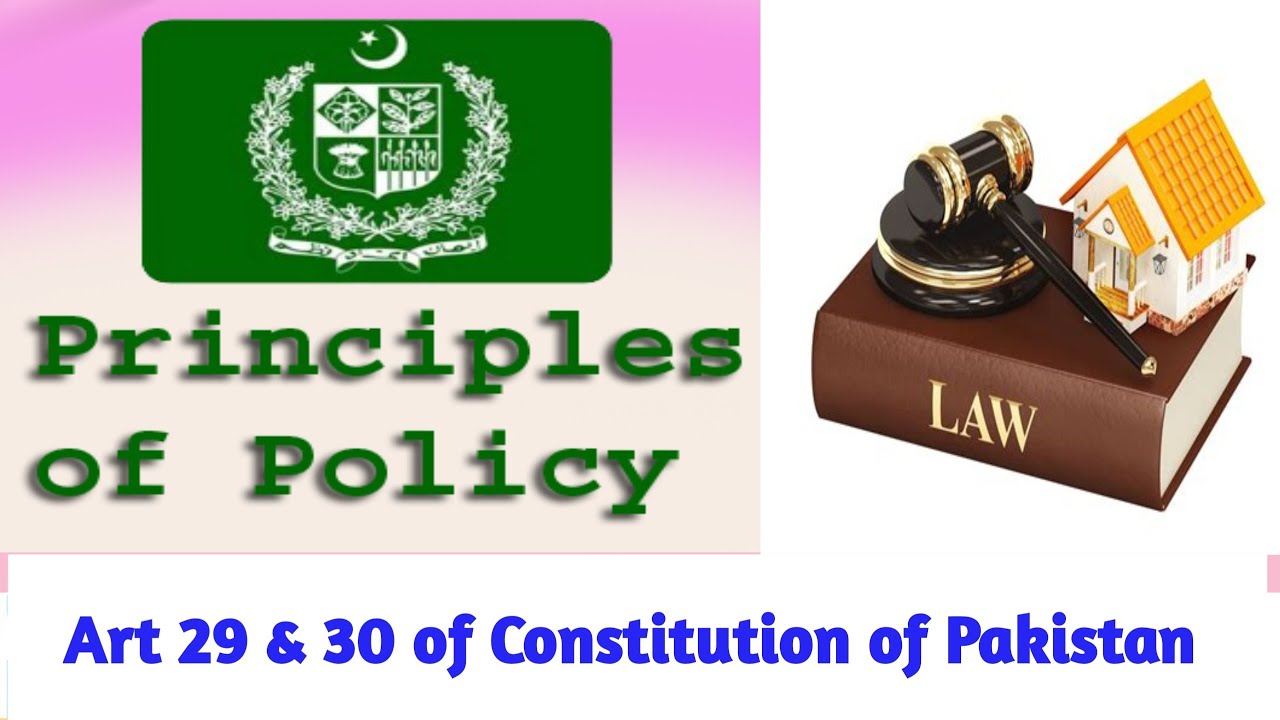 Art 29 & 30 of Constitution of Pakistan, 1973 I Principles of Policy