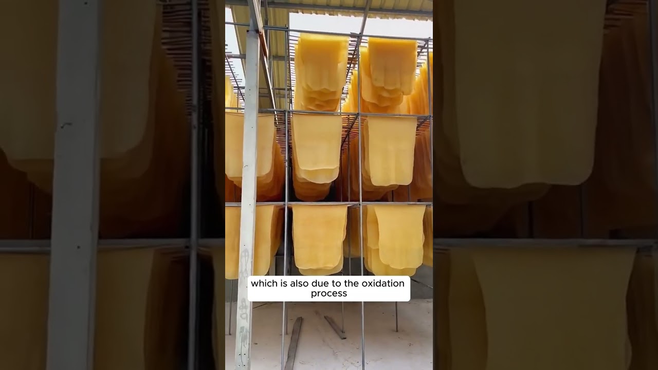 Переработка натурального каучука в Таиланде #RubberProcessing #Thailand