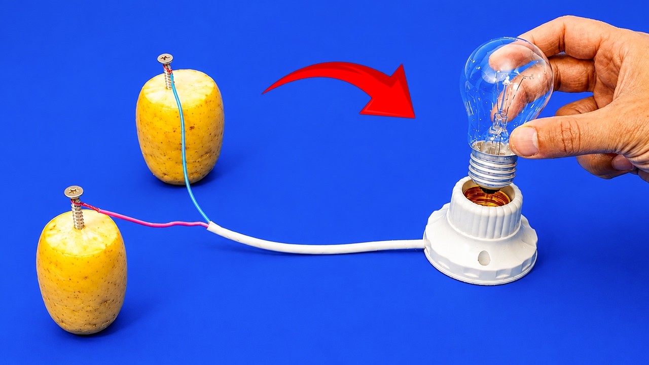 Szokujący wynalazek dla światowej energetyki! Domowy generator z ziemniaka