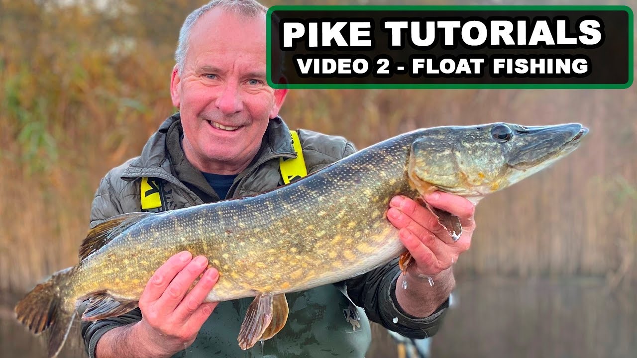 Pike Tutorials   Video 2