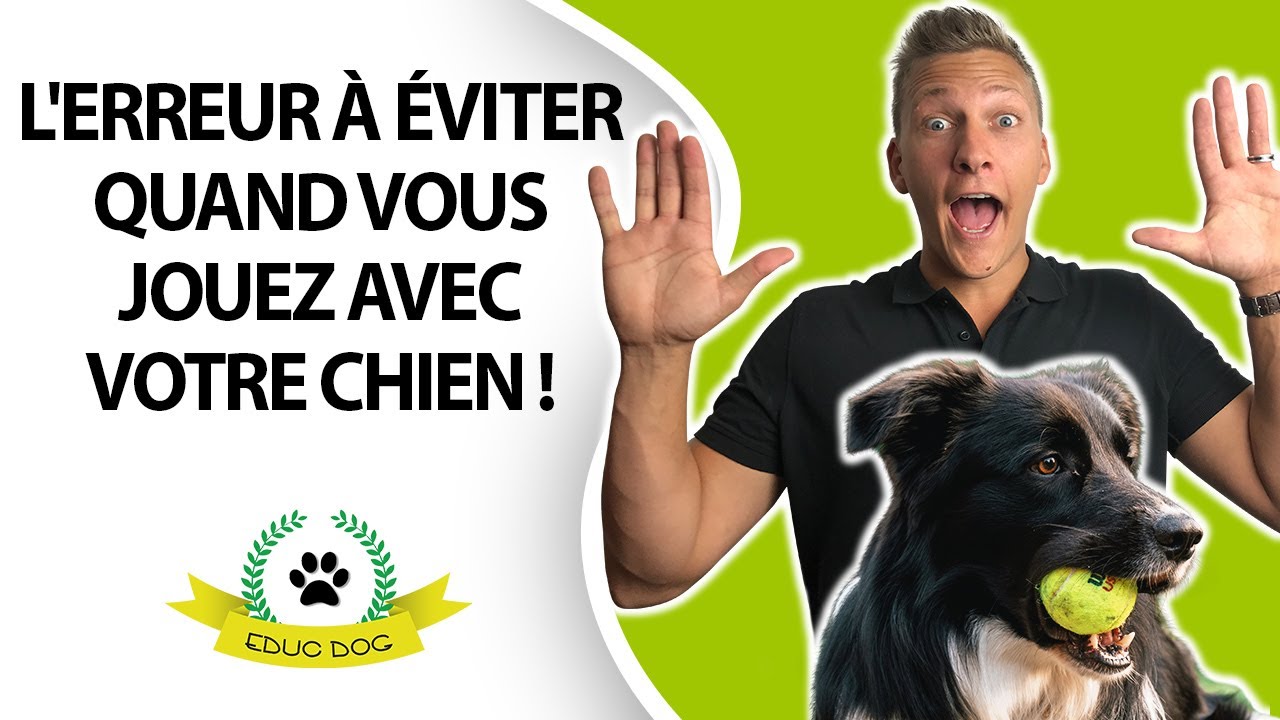 Jouer avec un chien : ce que vous devez savoir pour bien jouer avec lui !
