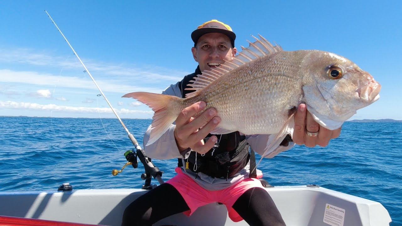Fishing the locals honey hole | Softbait Snapper & Trevally