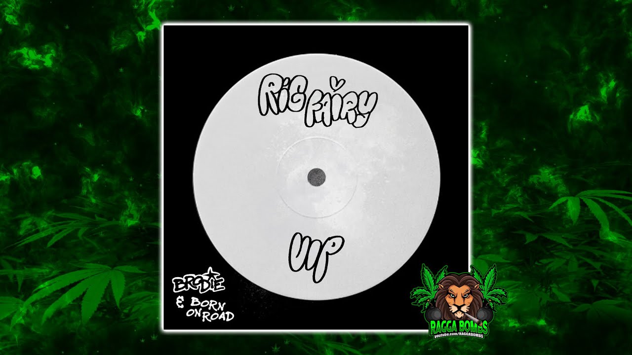Brodie & Born On Road & Kelvin 373 & Selecta J-Man & Aries - Rig Fairy (VIP)