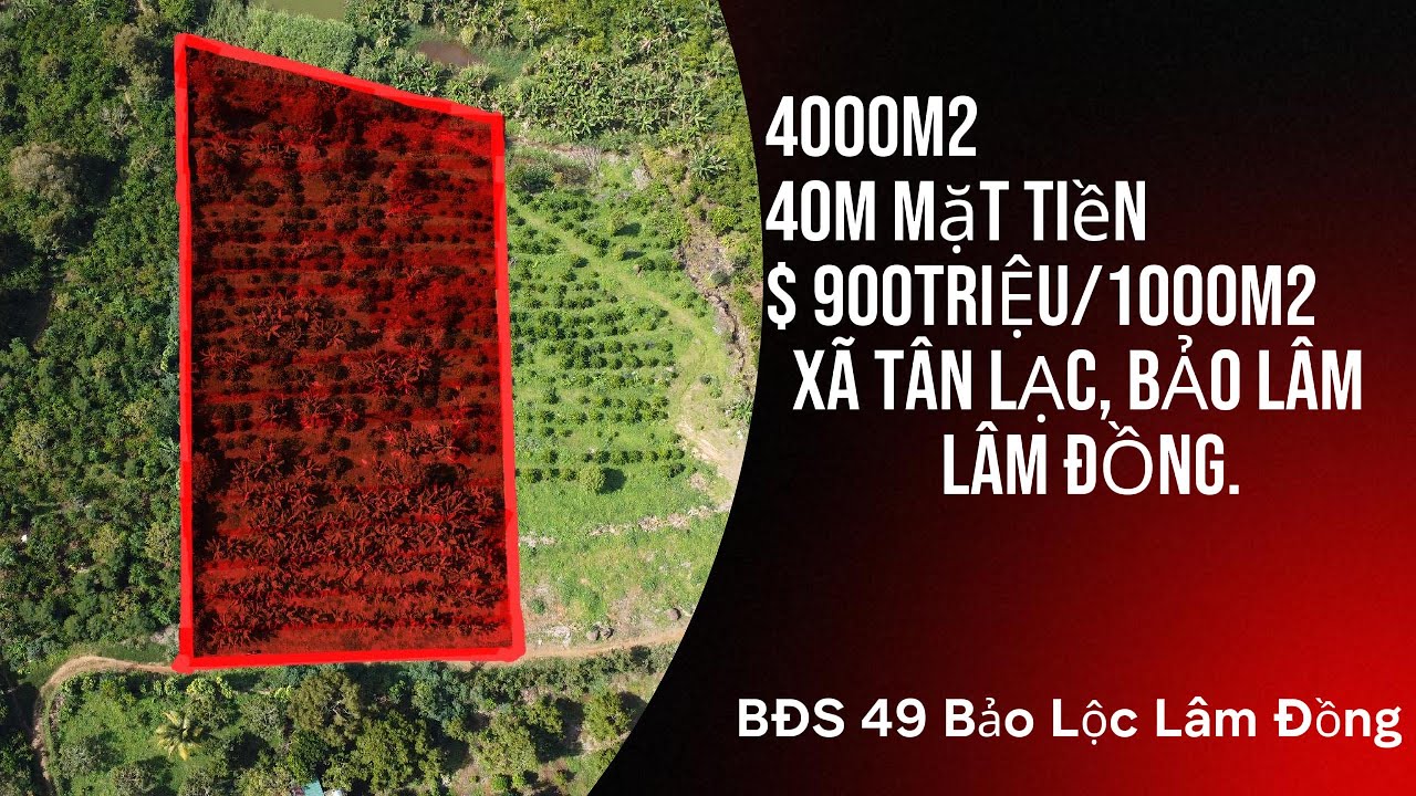 (pass5) BĐS 4000m2 ( 40mét mặt tiền) quy hoạch thổ cư. Xã Tân Lạc. Bảo Lâm. Lâm Đồng.