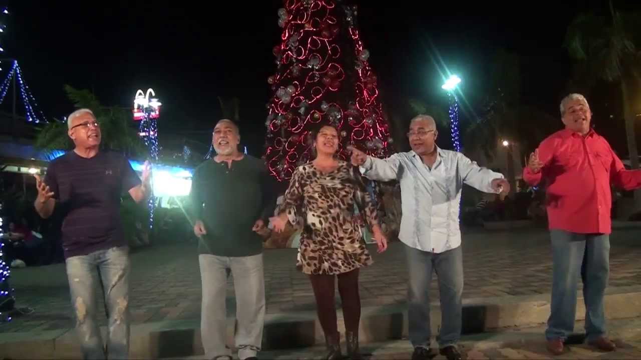 Palo de Arco en  Navidad (Elymeer)