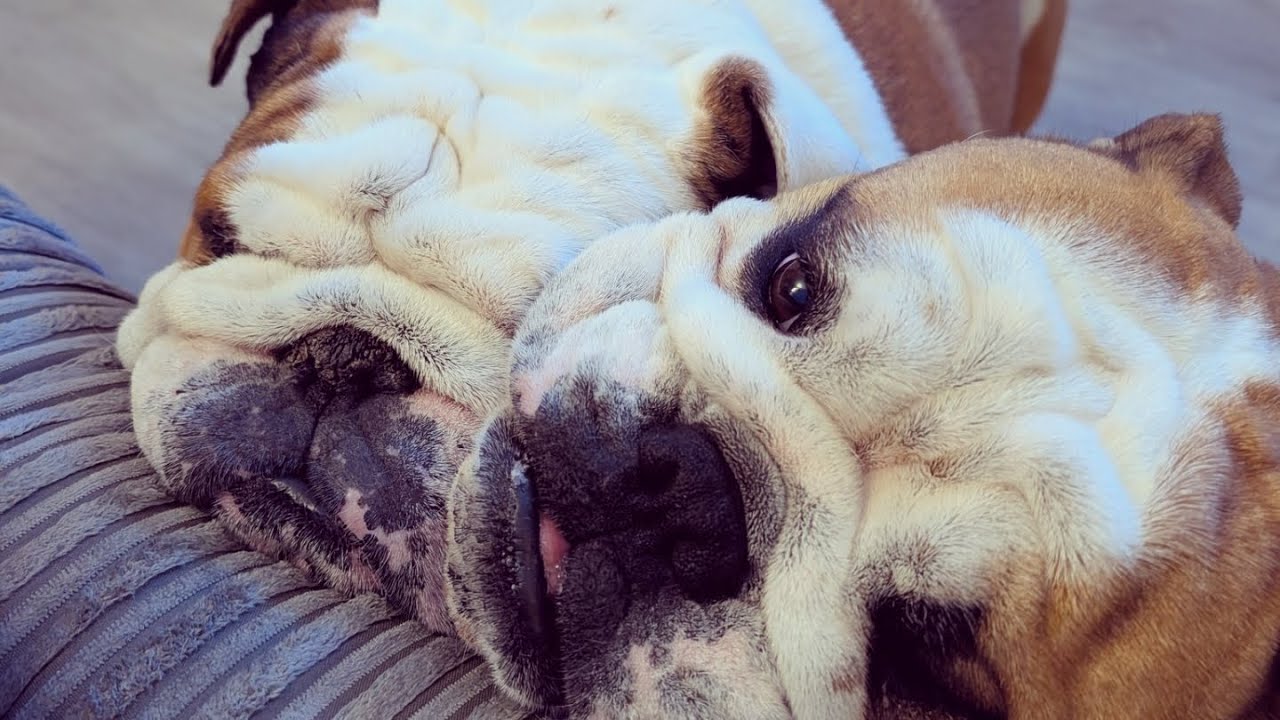 Мне нравится давать мальчикам немного времени наедине... но, видимо, делиться — не в их словаре 🤣