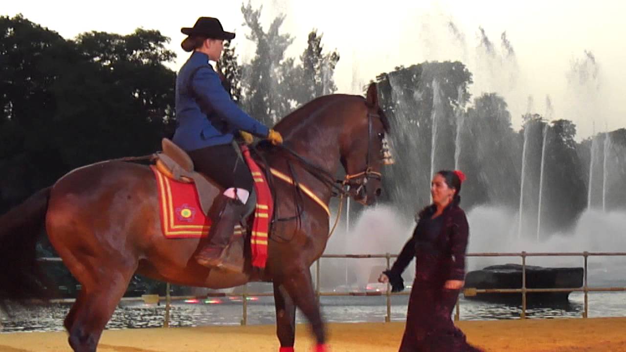ESPECTÁCULO DE CABALLO BAILANDO SEVILLANAS. ISLA MÁGICA. 30-06-11