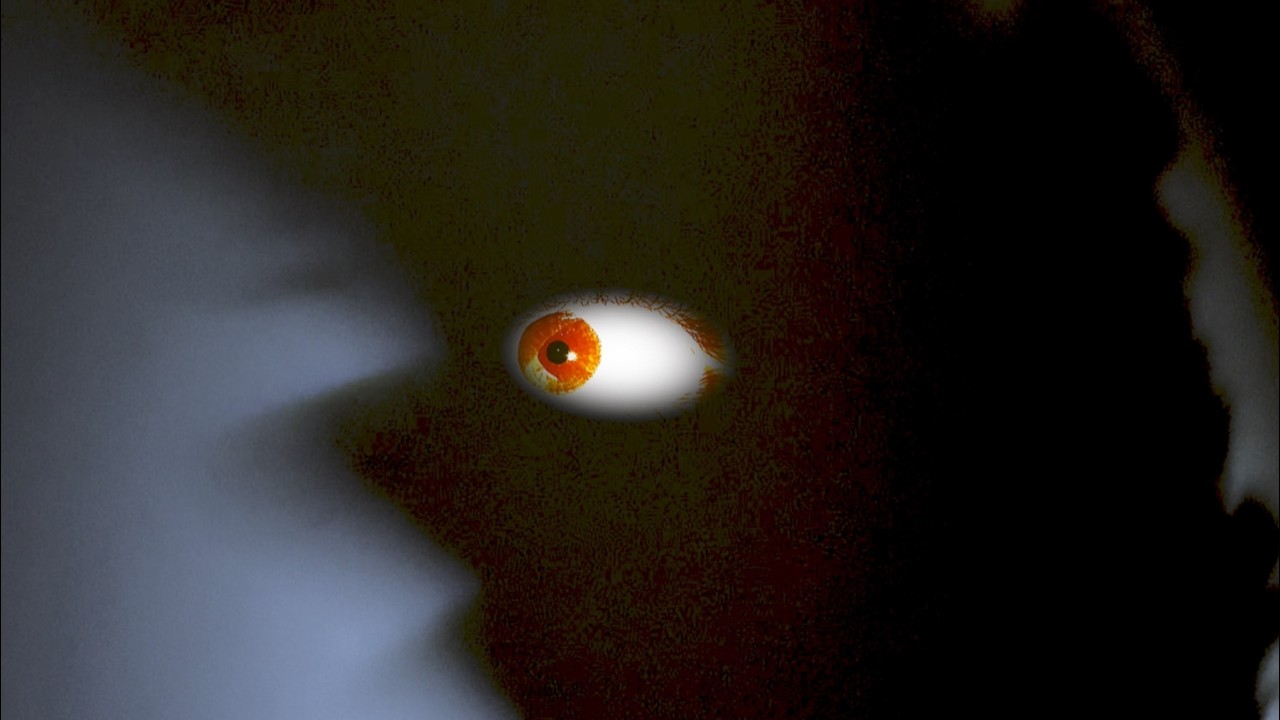 Marco Ferreira - Des Tonnes (Video officielle)