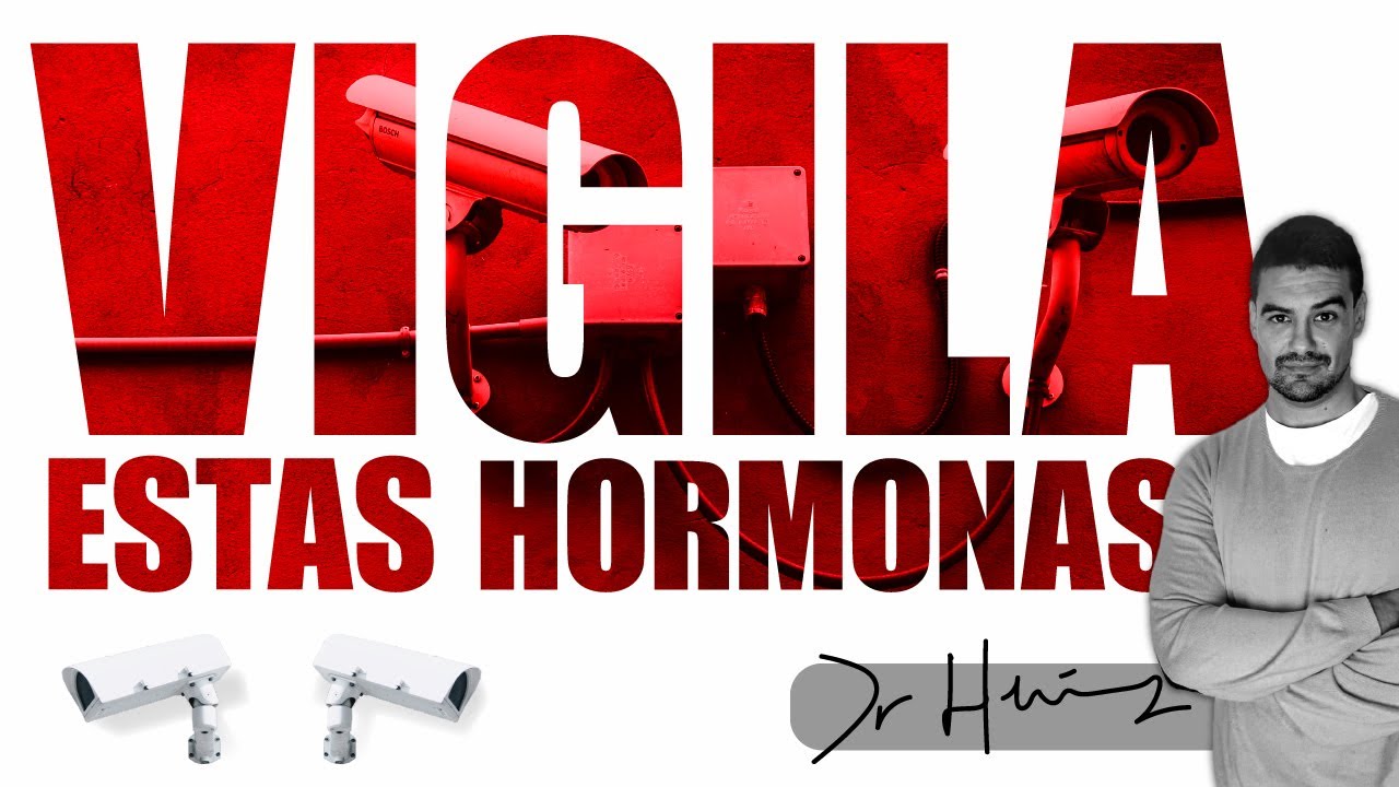 El Impacto De Las Hormonas En Nuestro Metabolismo