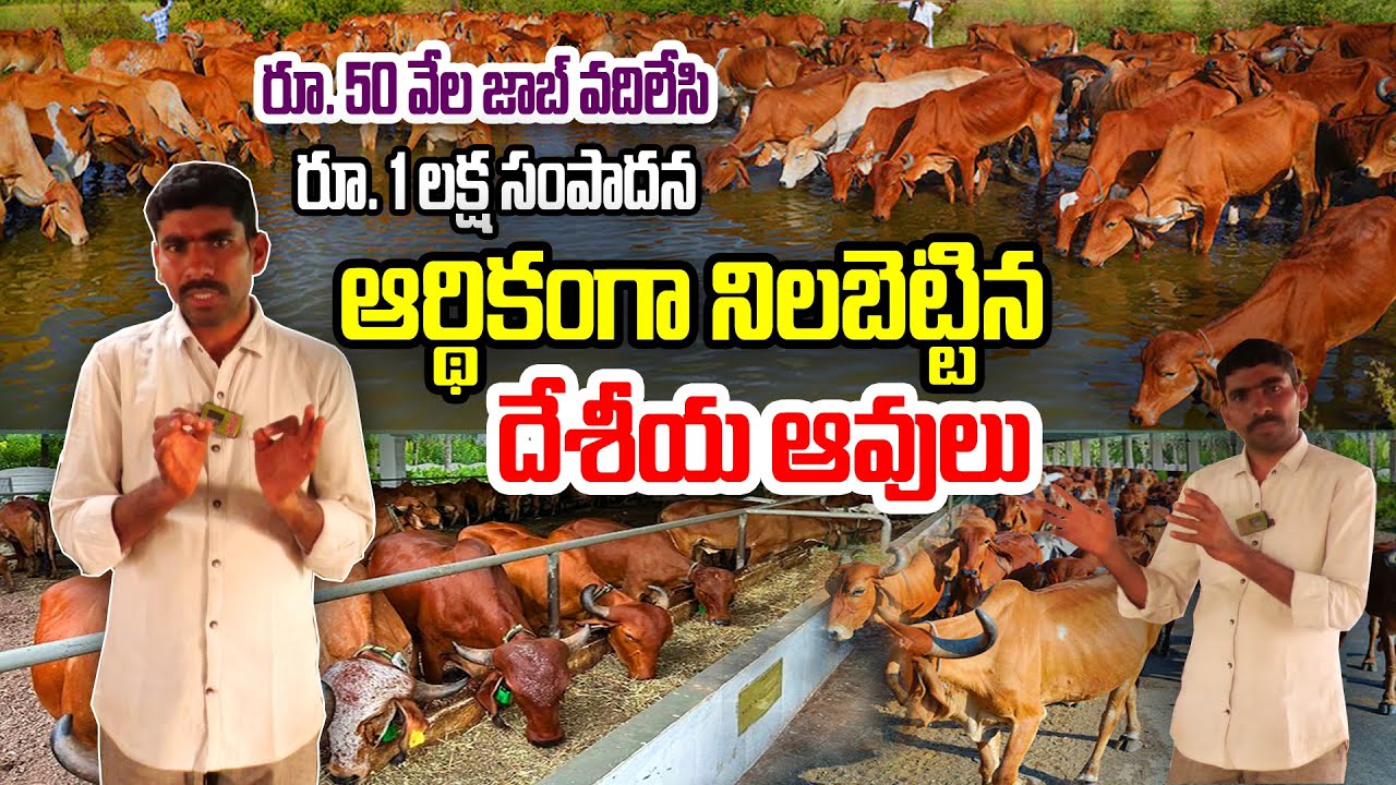 ఉద్యోగి నుంచి ఉద్యోగం ఇచ్చే స్థాయికి | Dairy Farmer Success | Jaipal Reddy @Raitunestham