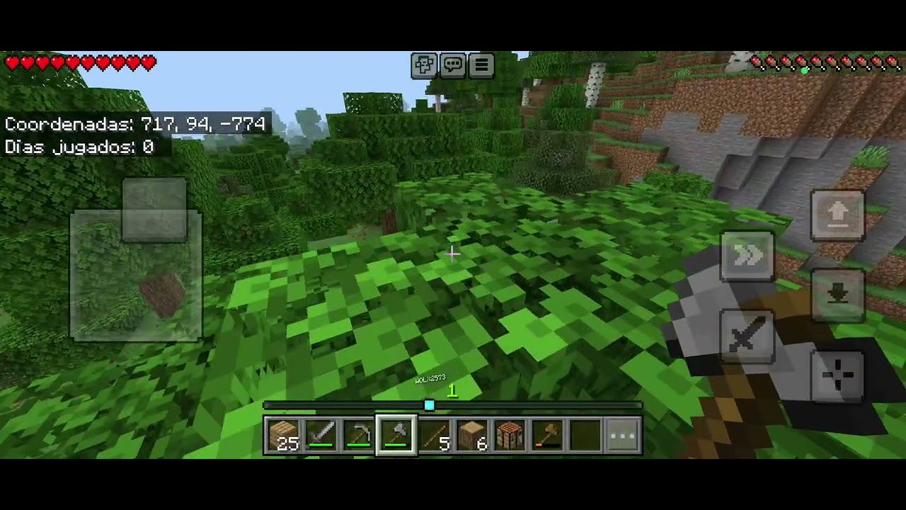 Jugando Minecraft con pingüino 