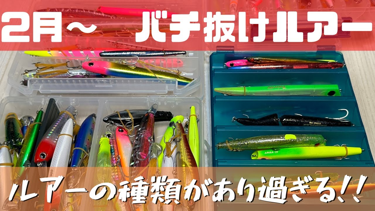 【バチ抜け　シーバス】2月バチ抜け　持ってくルアー