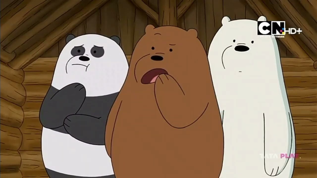 Cartoon Network HD+ India - Continuity (12/17/2024)
