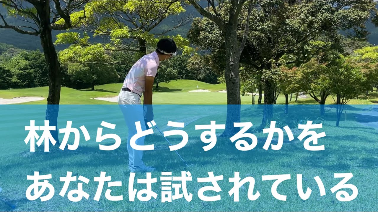 林の中から大叩きしてはいけない。