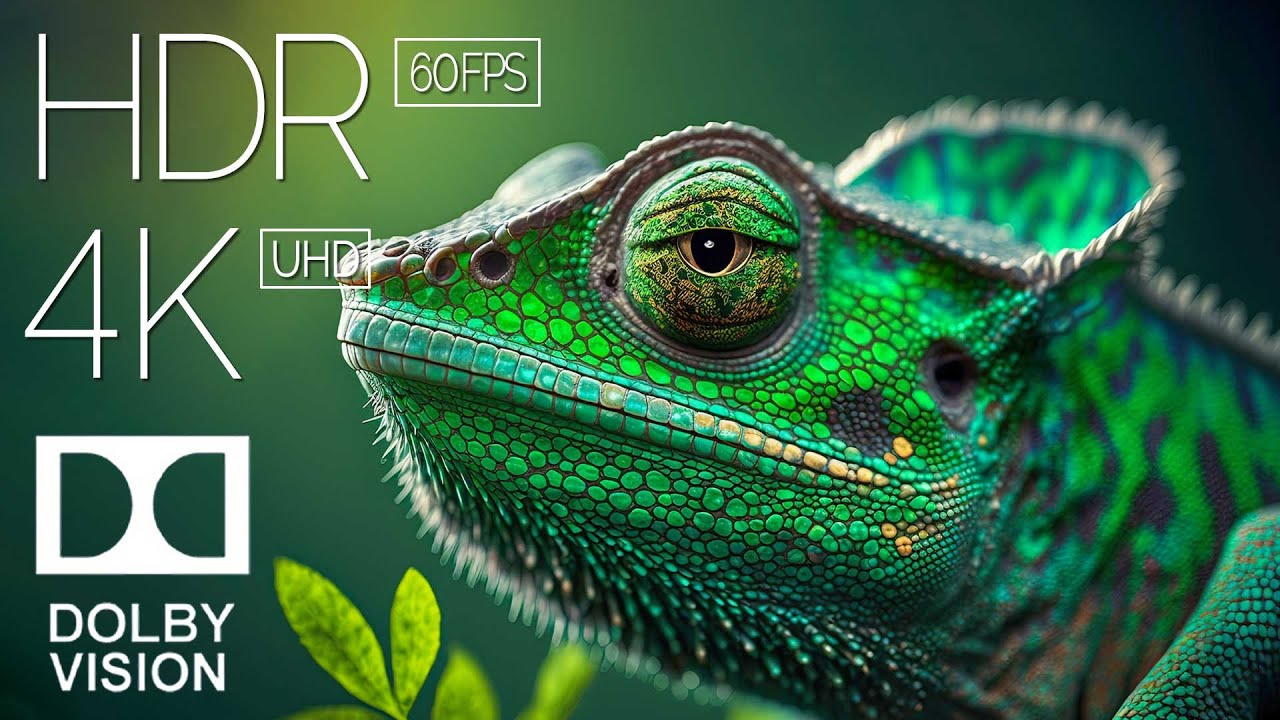 4K HDR 120fps Dolby Vision with Animal Sounds (Colorfully Dynamic) #2