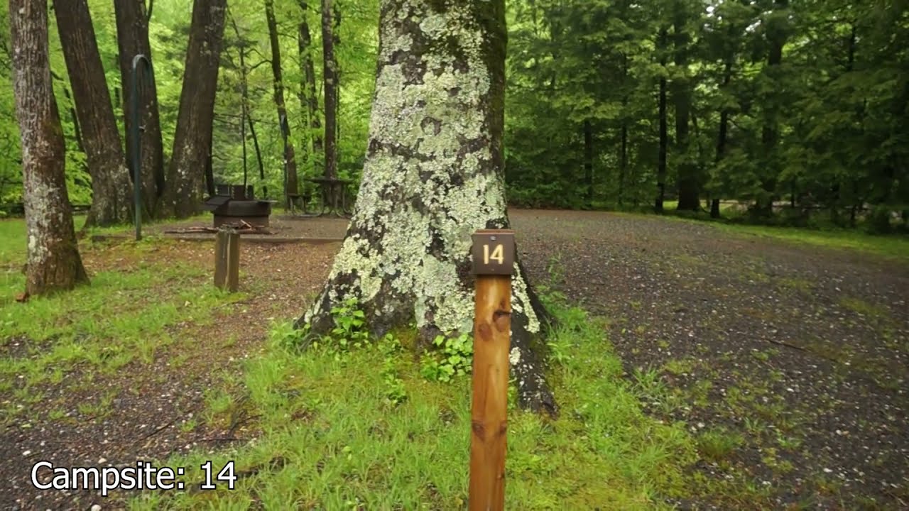 Black Mountain Campground/Campsites NC (See timestamps below for specific campsites)