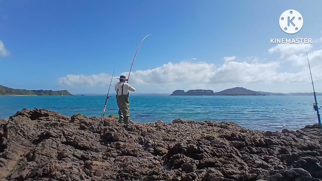 Rock fishing 🎣 here in Waitawa | Kawakawa bay 